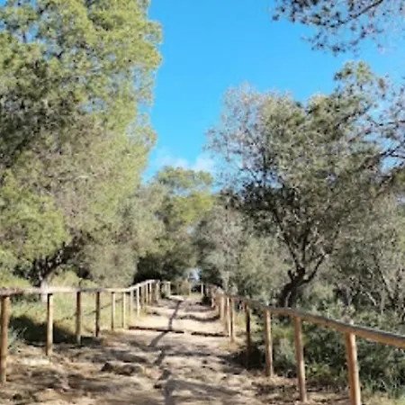Holiday home Paloma *